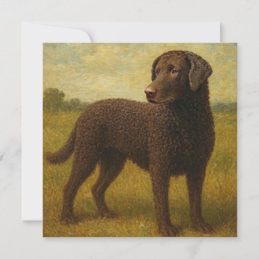 Gekrulde Gecoate Retriever Bedankkaart (Voorkant)