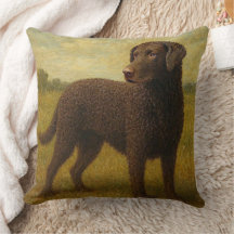 Gekrulde Gecoatste Retriever