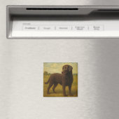 Gekrulde Gecoatste Retriever Magneet (Insitu (Vaatwasser))