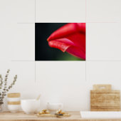 Gekrulde Rode Tulp Bloemblad Natuurfoto Poster (Keuken)