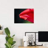Gekrulde Rode Tulp Bloemblad Natuurfoto Poster (Thuiskantoor)