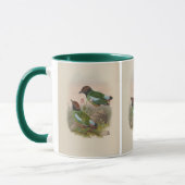 Gekuifde Pitta door John Gould Mok (Links)