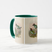 Gekuifde Pitta door John Gould Mok (Voorkant links)