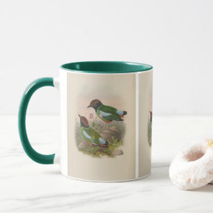 Gekuifde Pitta door John Gould Mok