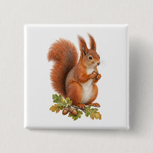 Gekuifde rode eekhoorn met eikel en herfst eik