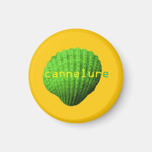 Gekuifde schelp magneet (Voorkant)