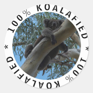 Gekwalificeerde Koalafied Schattigee Grappige Koal Ronde Sticker