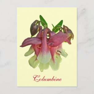 Gekweekt Columbine Briefkaart