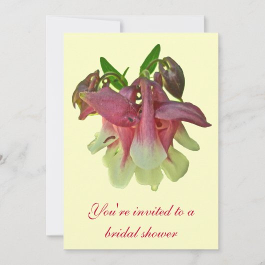 Gekweekte Columbine Bridal Shower Invitation Kaart (Voorkant)