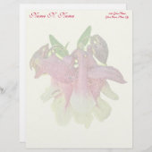 Gekweekte Columbine Letterhead Yellow Persoonlijk Briefhoofd (Voorkant / Achterkant)