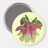 Gekweekte Columbine Magnet (Voorkant / Achterkant)