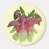 Gekweekte Columbine Magnet (Voorkant)