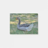 Gekweekte gans op gras in Dordogne Post-it® Notes (Voorkant)