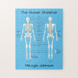 Gelabeld Humaan Skeleton Puzzle Legpuzzel