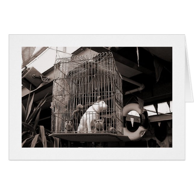 Gelabelde beesten (Voorkant Horizontaal)