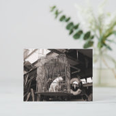 Gelabelde beesten briefkaart (Staand voorkant)