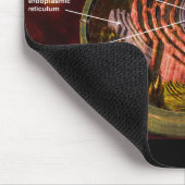 Gelabelde menselijke cel muismat (Hoek)