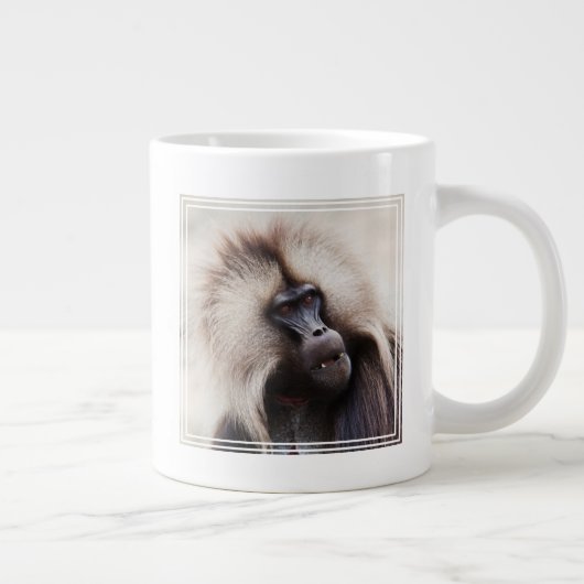 Gelada Baboon, Ethiopië Grote Koffiekop (Rechts)