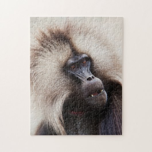 Gelada Baboon, Ethiopië Legpuzzel (Verticaal)