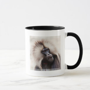 Gelada Baboon, Ethiopië Mok