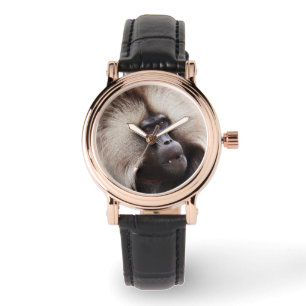 Gelada baviaan, Ethiopië Horloge