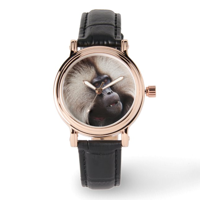 Gelada baviaan, Ethiopië Horloge (Voorkant)