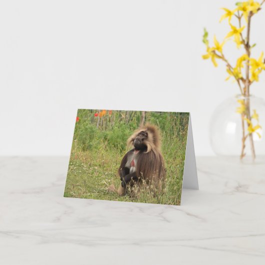 Gelada baviaan kaart (Gele Bloem)