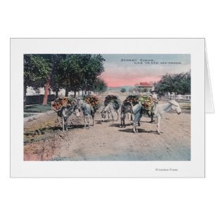 Geladen Donkeys in StreetLas Vegas, NM