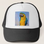 Gelbbrustera macaw op baard trucker pet (Voorkant)
