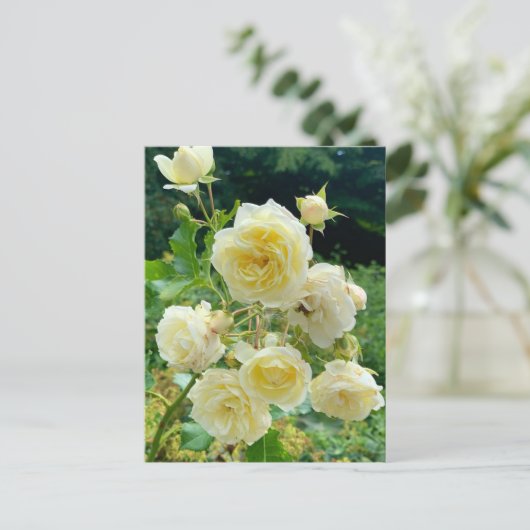 Gelbe Rose Postkarte Briefkaart (Staand voorkant)