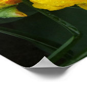 Gelbe Tulpe vom Keukenhof Park Poster (Hoek)