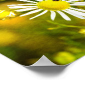 Gelber Traum der Natur Poster (Hoek)