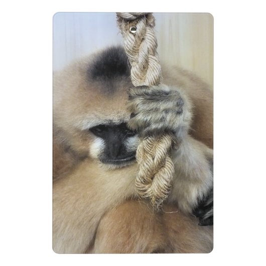 GELD MINI KLEMBORD (Achterkant)