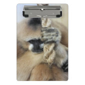 GELD MINI KLEMBORD (Voorkant)