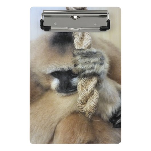 GELD MINI KLEMBORD (Voorkant)