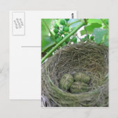 Geld Nest Eieren Briefkaart (Voorkant / Achterkant)