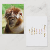 GELD VISITEKAARTJE (Voorkant / Achterkant)