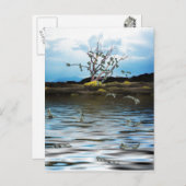 Geldboom op een dag van de Windy Briefkaart (Voorkant / Achterkant)