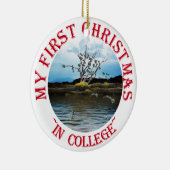 Geldboom op een dag van de Windy Keramisch Ornament (Rechts)