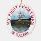 Geldboom op een dag van de Windy Keramisch Ornament (Links)