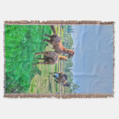 Gelden en kastanjezegels in de pekel deken (Voorkant)