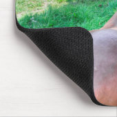 Gelden en kastanjezegels in de pekel muismat (Hoek)