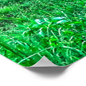 Gelden en kastanjezegels in de pekel poster (Hoek)