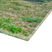 Gelden en kastanjezegels in de pekel snijplank (Hoek)