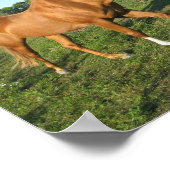 Gelden voor kwartpaarden poster (Hoek)