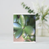 Geldmiddelen Plant Briefkaart (Staand voorkant)