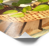 Geldmiddelen Plant Foto Afdruk (Hoek)