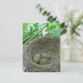 Geldnesteieren Briefkaart (Staand voorkant)