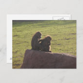 Geldvrienden Briefkaart (Voorkant / Achterkant)