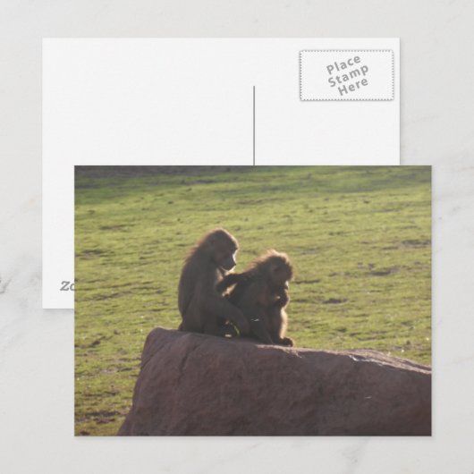 Geldvrienden Briefkaart (Voorkant / Achterkant)